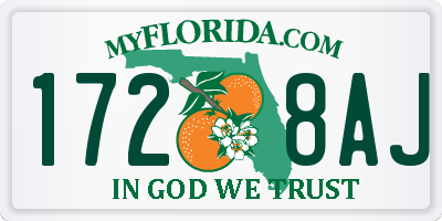 FL license plate 1728AJ