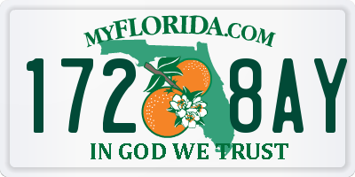 FL license plate 1728AY