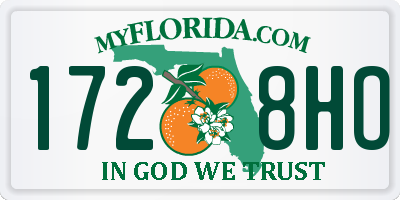 FL license plate 1728HO
