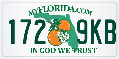 FL license plate 1729KB
