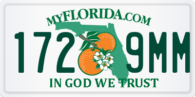 FL license plate 1729MM