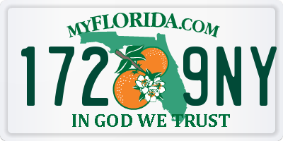 FL license plate 1729NY