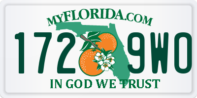 FL license plate 1729WO