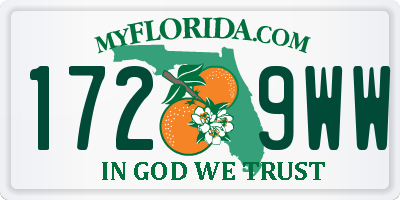 FL license plate 1729WW
