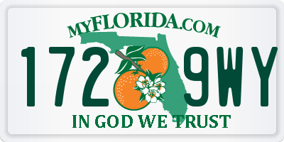 FL license plate 1729WY