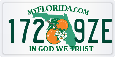FL license plate 1729ZE
