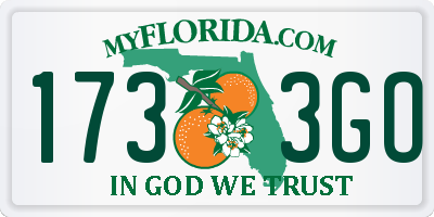 FL license plate 1733GO