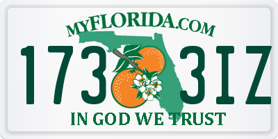 FL license plate 1733IZ