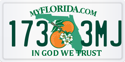 FL license plate 1733MJ