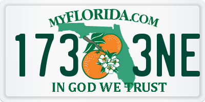 FL license plate 1733NE