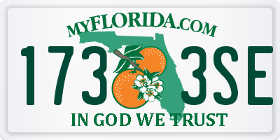 FL license plate 1733SE
