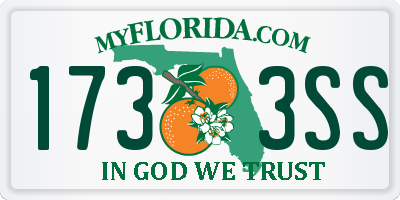 FL license plate 1733SS