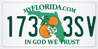 FL license plate 1733SV