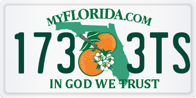 FL license plate 1733TS