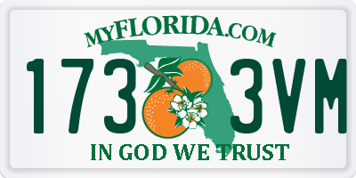 FL license plate 1733VM