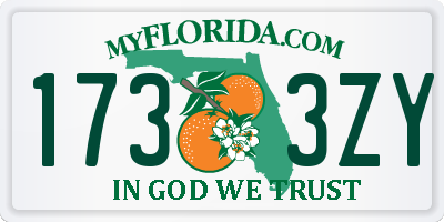 FL license plate 1733ZY