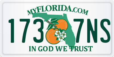FL license plate 1737NS
