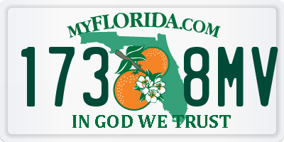 FL license plate 1738MV