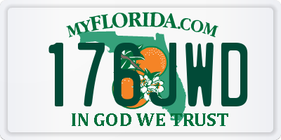 FL license plate 176JWD