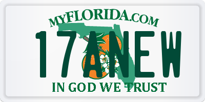 FL license plate 17ANEW