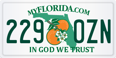 FL license plate 2290ZN