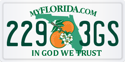 FL license plate 2293GS