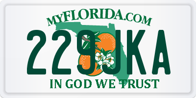 FL license plate 229JKA