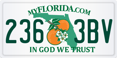 FL license plate 2363BV