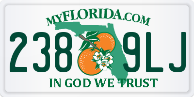 FL license plate 2389LJ