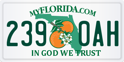 FL license plate 2390AH