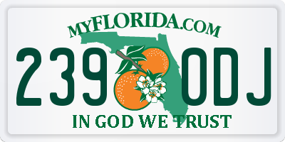 FL license plate 2390DJ