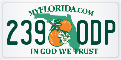 FL license plate 2390DP
