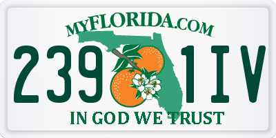 FL license plate 2391IV