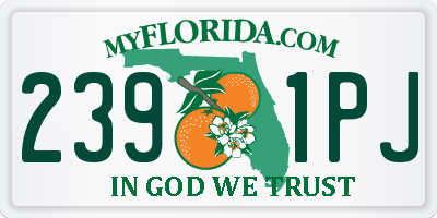 FL license plate 2391PJ