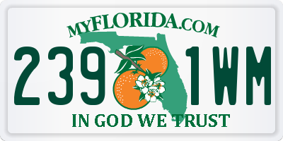 FL license plate 2391WM