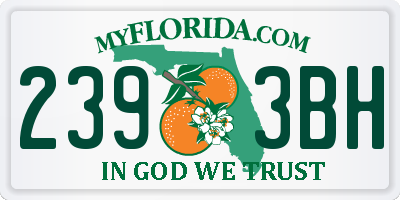 FL license plate 2393BH