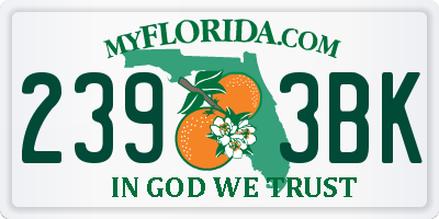 FL license plate 2393BK