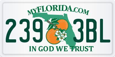 FL license plate 2393BL