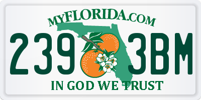 FL license plate 2393BM