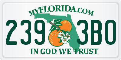 FL license plate 2393BO