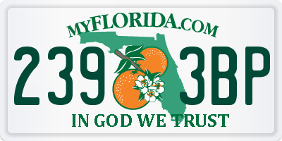 FL license plate 2393BP