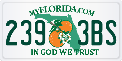 FL license plate 2393BS