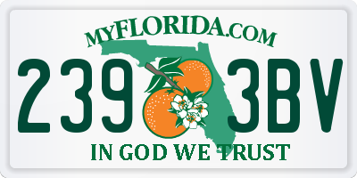 FL license plate 2393BV