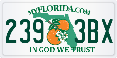 FL license plate 2393BX