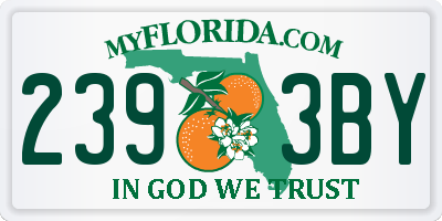 FL license plate 2393BY