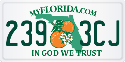 FL license plate 2393CJ