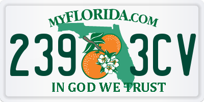 FL license plate 2393CV