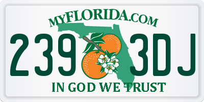 FL license plate 2393DJ