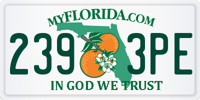FL license plate 2393PE