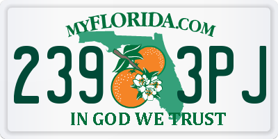 FL license plate 2393PJ